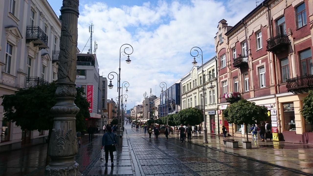 Ulica H. Sienkiewicza – główny trotuar miasta – popularna „Sienkiewka” – zwana często dziś jego „kręgosłupem” (jeszcze w pocz. XIX stulecia… ta – jedna z najpiękniejszych polskich ulic – pełniła funkcję drogi gospodarczej)