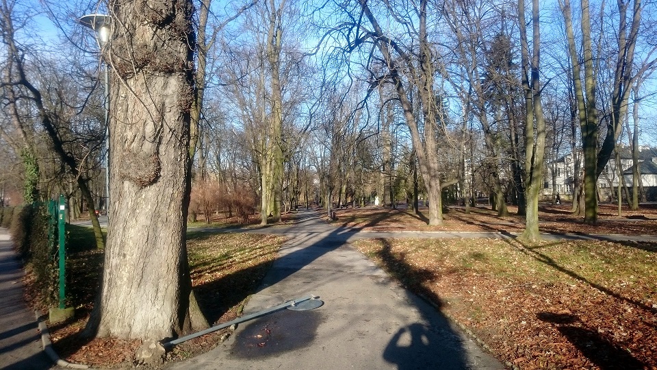 Park miejski w Kielcach 