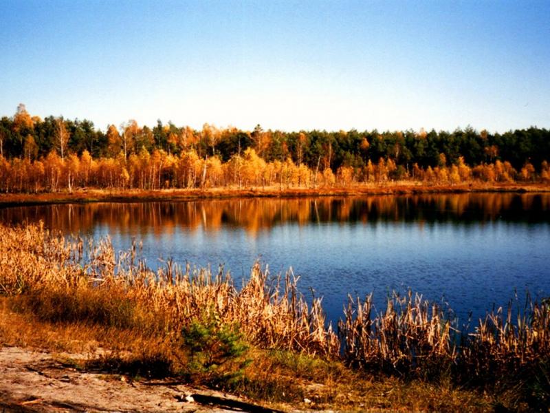 Największe jezioro Pojezierza Świętokrzyskiego (pow. ponad 20 ha) – Jezioro Elżbiety – położone na gruntach leśnych wsi Czartoszowy – opodal Michalej Góry k. Łopuszna (fot. z 2000 r.)